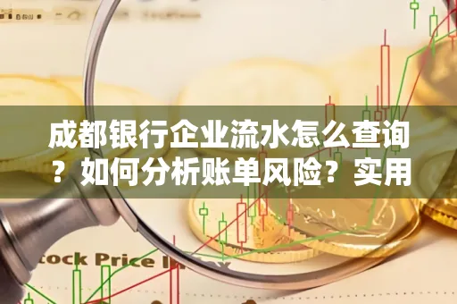 成都银行企业流水怎么查询？如何分析账单风险？实用指南